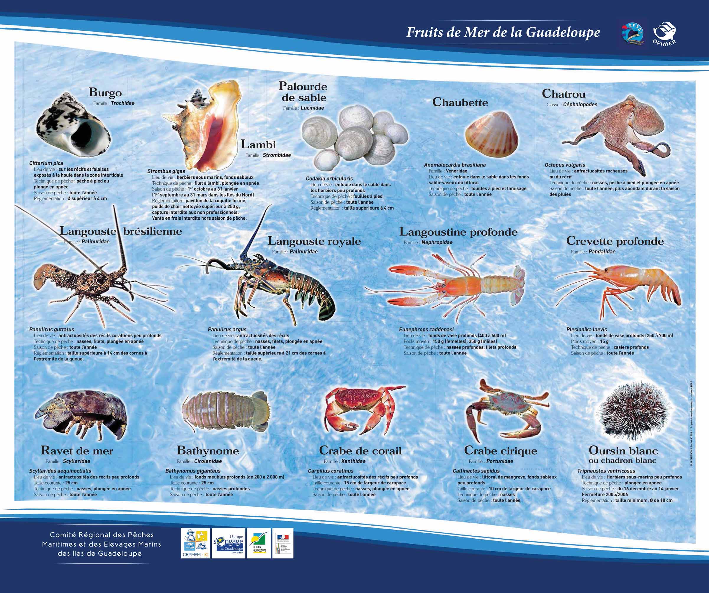 Télécharger le poster des fruits de mer principaux consommés en Guadeloupe